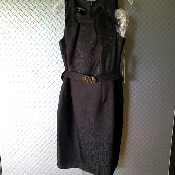 Jones Wear Dresses & Skirts - BNWT JONES WEAR belted classic (12)
